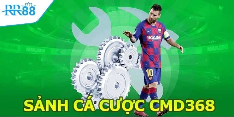 Những Sảnh Cá Cược Thể Thao Uy Tín Được Yêu Thích